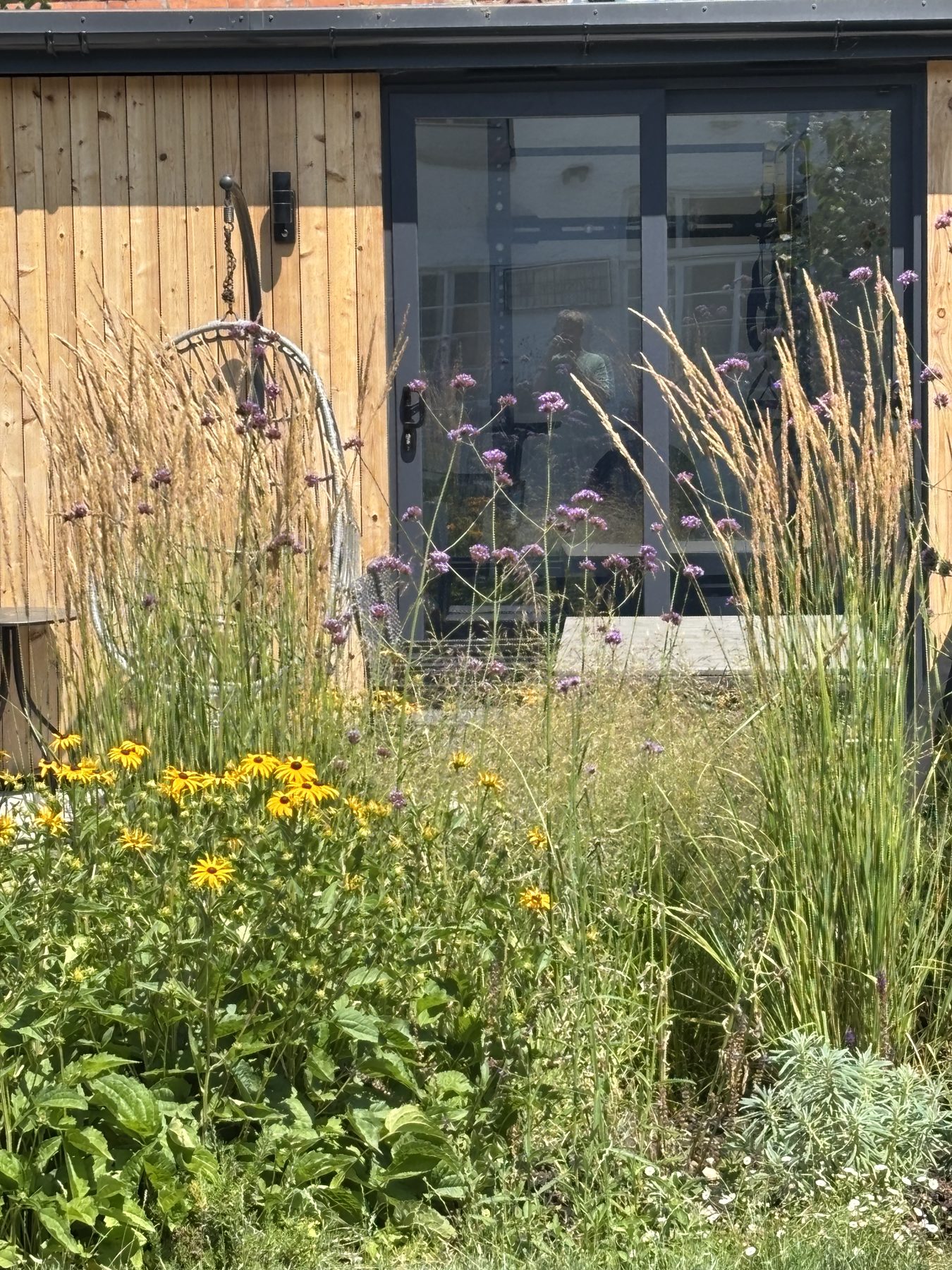 Timber-clad garden studio behind Verbena and tall grasses