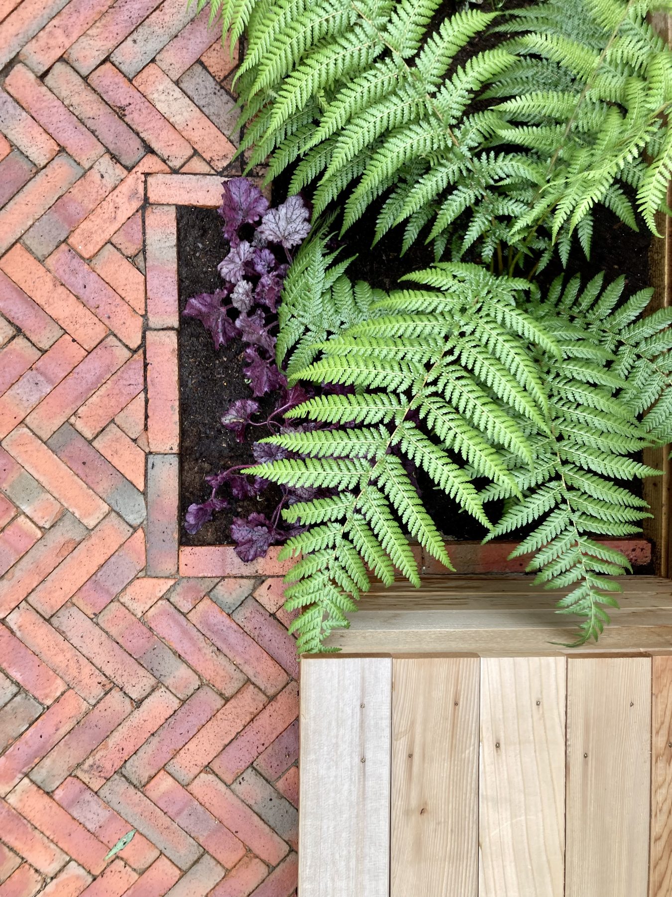 Brick paving, cedar and shade planting