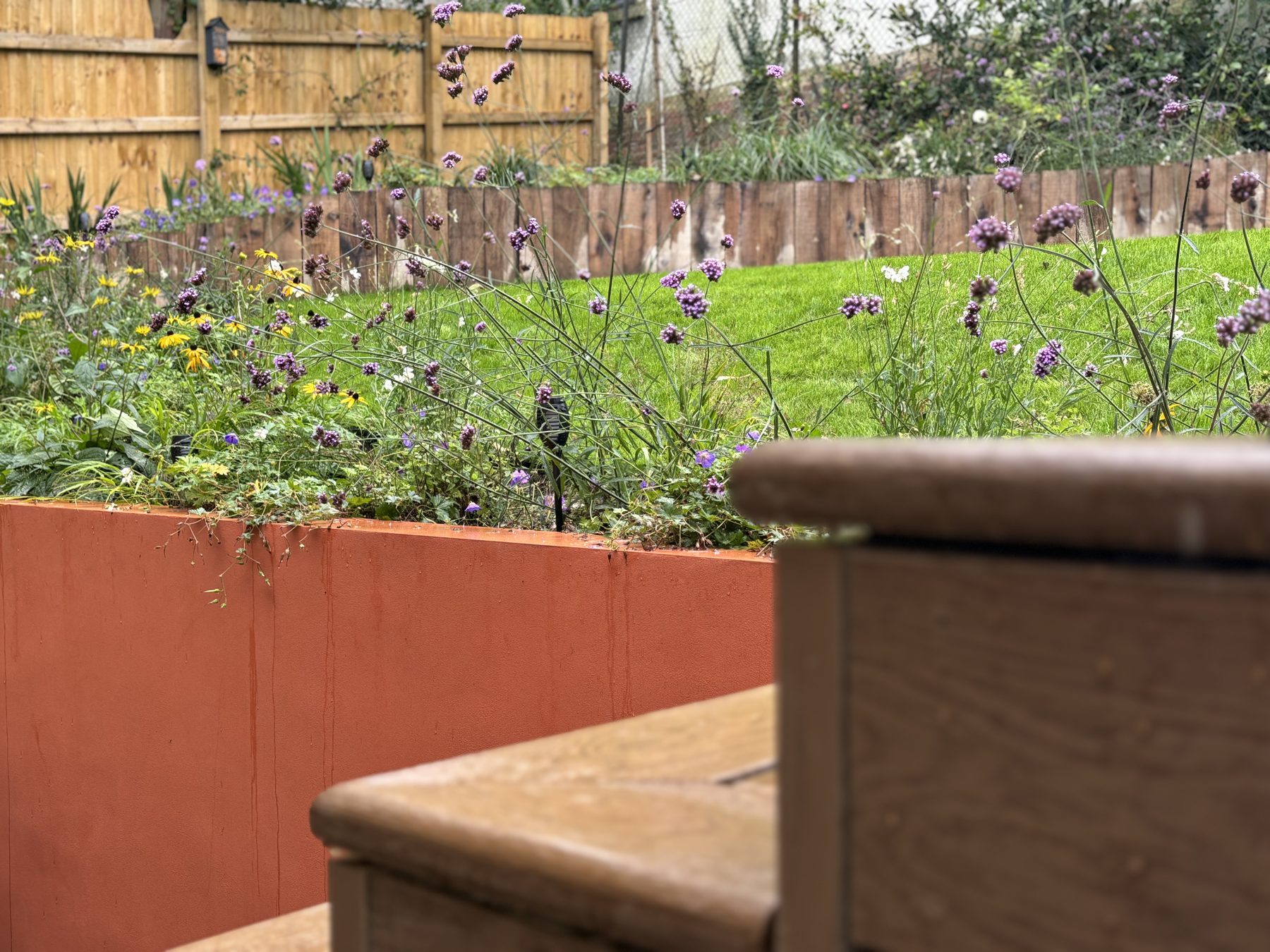 Verbena and Rudbeckia spilling over the terracotta retaining wall towards the upper lawn