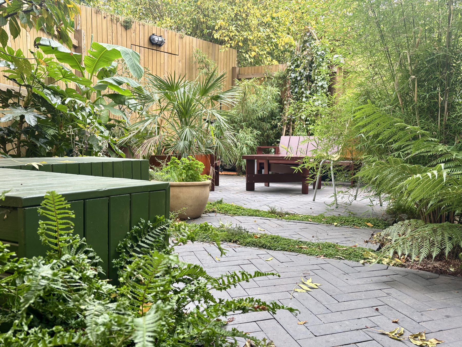 Herringbone paving with ferns, bamboo and foliage-led planting in Herne Hill